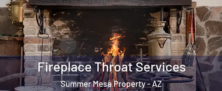 Fireplace Throat Services Summer Mesa Property - AZ