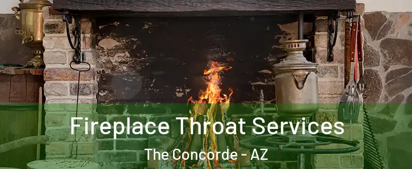 Fireplace Throat Services The Concorde - AZ