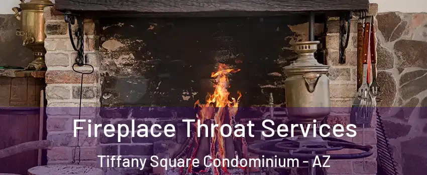 Fireplace Throat Services Tiffany Square Condominium - AZ