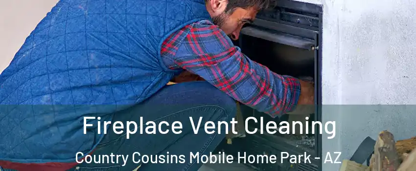 Fireplace Vent Cleaning Country Cousins Mobile Home Park - AZ