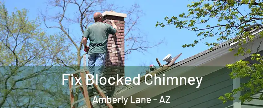 Fix Blocked Chimney Amberly Lane - AZ