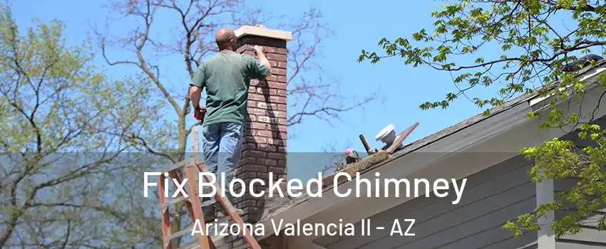 Fix Blocked Chimney Arizona Valencia II - AZ