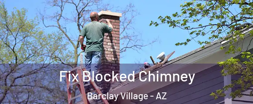 Fix Blocked Chimney Barclay Village - AZ