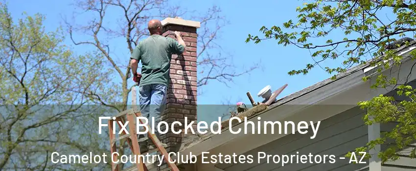 Fix Blocked Chimney Camelot Country Club Estates Proprietors - AZ