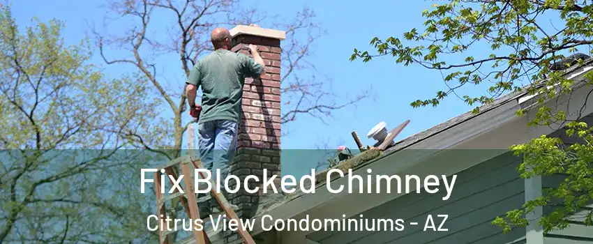 Fix Blocked Chimney Citrus View Condominiums - AZ