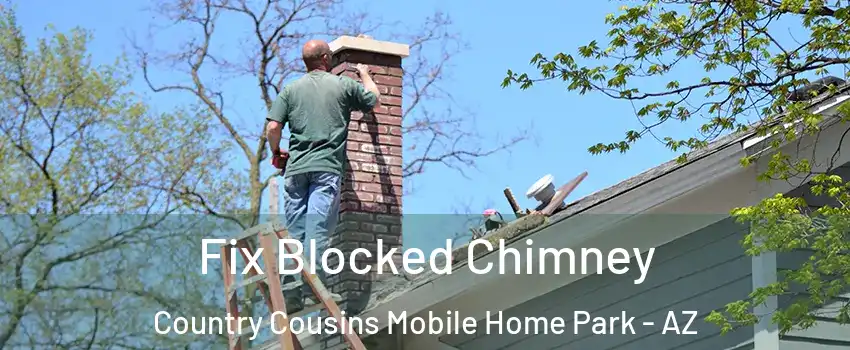 Fix Blocked Chimney Country Cousins Mobile Home Park - AZ