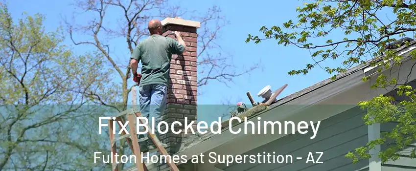 Fix Blocked Chimney Fulton Homes at Superstition - AZ