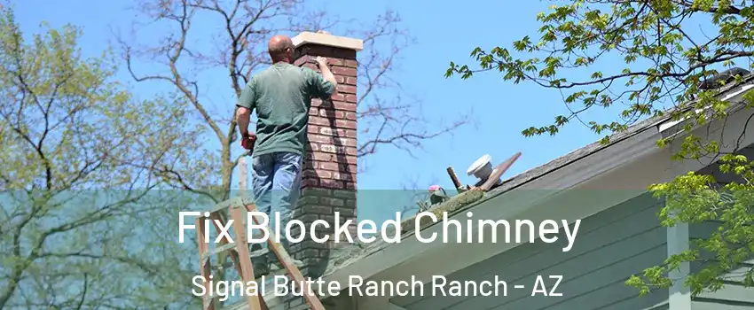 Fix Blocked Chimney Signal Butte Ranch Ranch - AZ