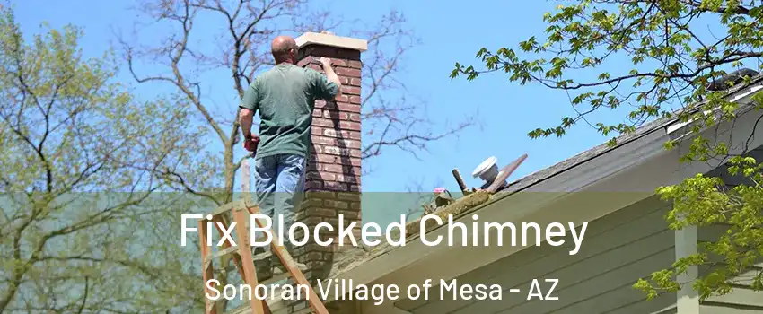 Fix Blocked Chimney Sonoran Village of Mesa - AZ