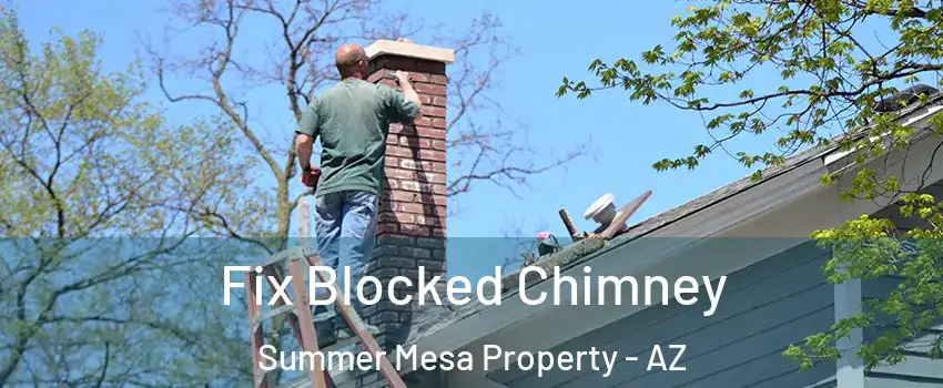 Fix Blocked Chimney Summer Mesa Property - AZ