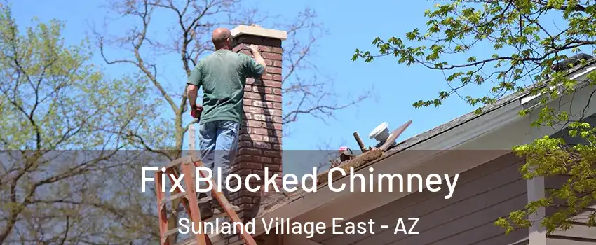 Fix Blocked Chimney Sunland Village East - AZ