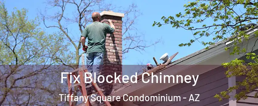 Fix Blocked Chimney Tiffany Square Condominium - AZ