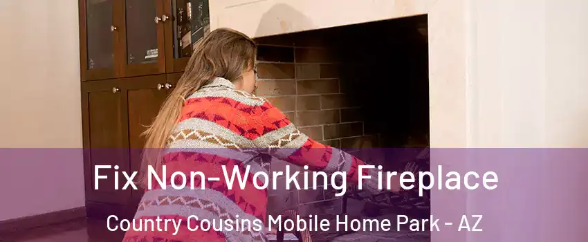 Fix Non-Working Fireplace Country Cousins Mobile Home Park - AZ