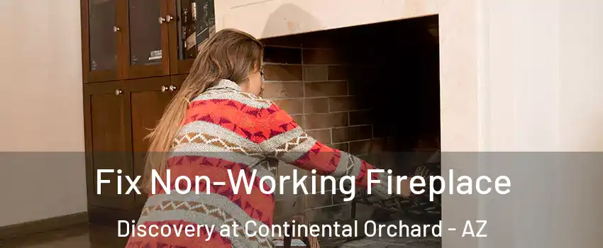 Fix Non-Working Fireplace Discovery at Continental Orchard - AZ