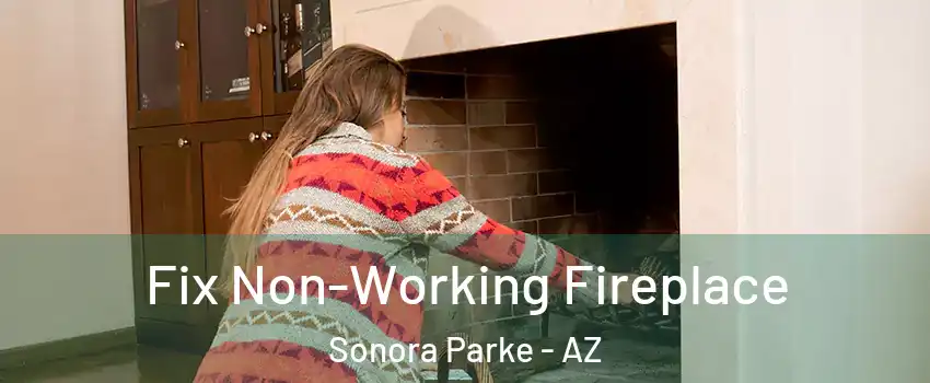 Fix Non-Working Fireplace Sonora Parke - AZ