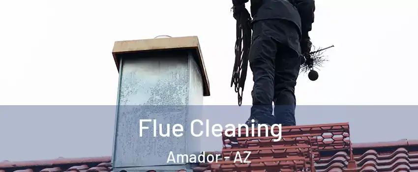 Flue Cleaning Amador - AZ