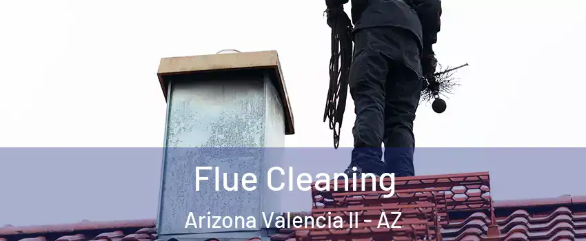 Flue Cleaning Arizona Valencia II - AZ