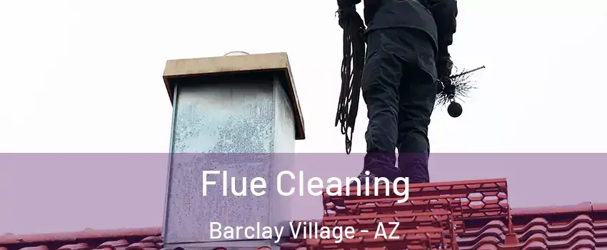 Flue Cleaning Barclay Village - AZ