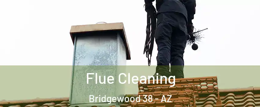 Flue Cleaning Bridgewood 38 - AZ