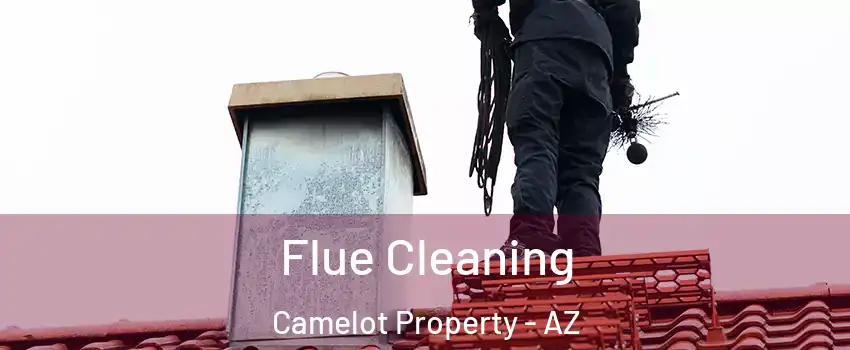 Flue Cleaning Camelot Property - AZ