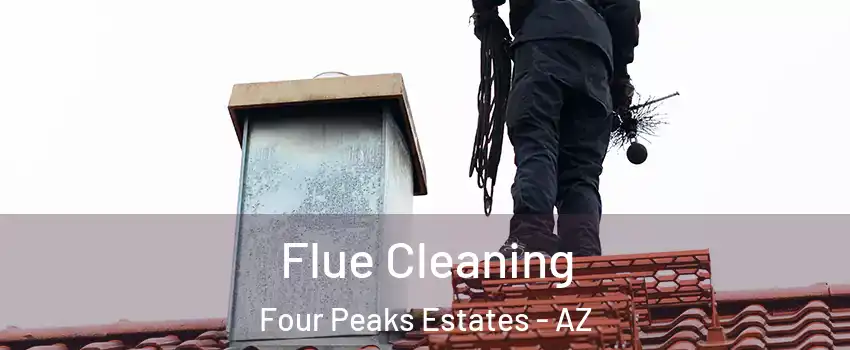 Flue Cleaning Four Peaks Estates - AZ