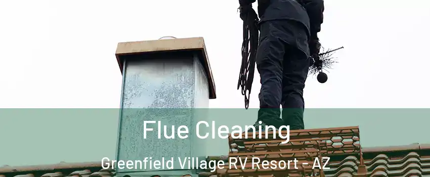 Flue Cleaning Greenfield Village RV Resort - AZ