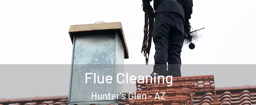 Flue Cleaning Hunter's Glen - AZ