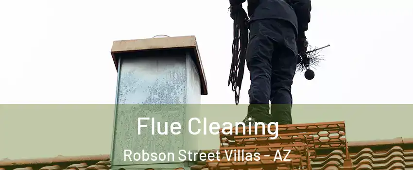 Flue Cleaning Robson Street Villas - AZ