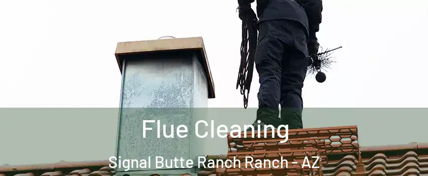 Flue Cleaning Signal Butte Ranch Ranch - AZ