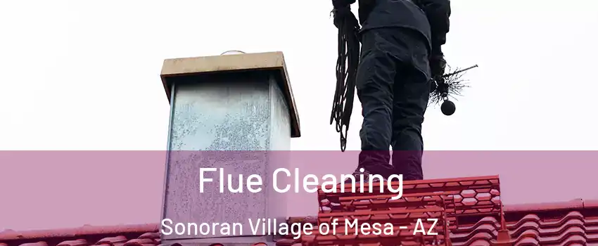 Flue Cleaning Sonoran Village of Mesa - AZ