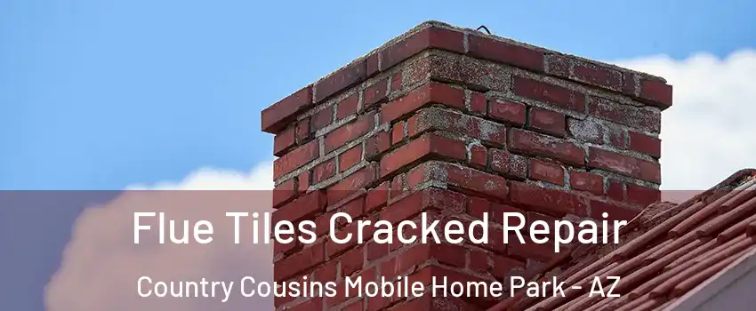 Flue Tiles Cracked Repair Country Cousins Mobile Home Park - AZ