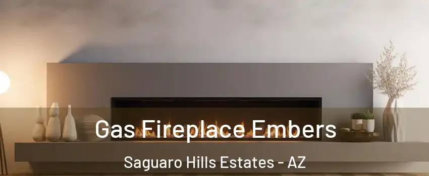 Gas Fireplace Embers Saguaro Hills Estates - AZ