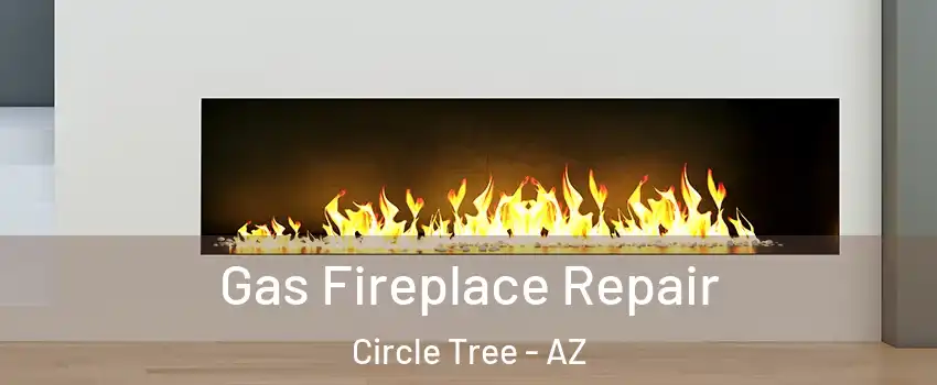 Gas Fireplace Repair Circle Tree - AZ