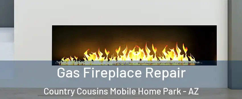 Gas Fireplace Repair Country Cousins Mobile Home Park - AZ