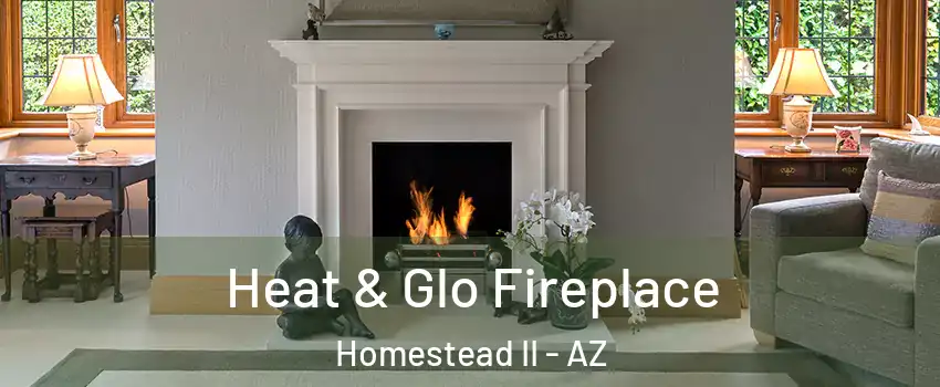 Heat & Glo Fireplace Homestead II - AZ