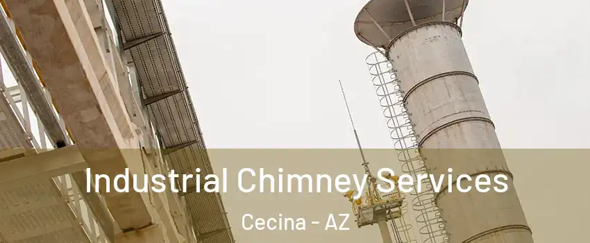 Industrial Chimney Services Cecina - AZ