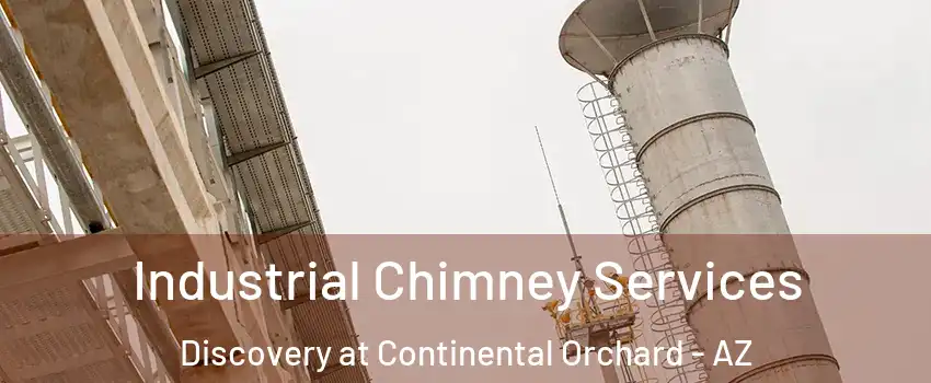 Industrial Chimney Services Discovery at Continental Orchard - AZ