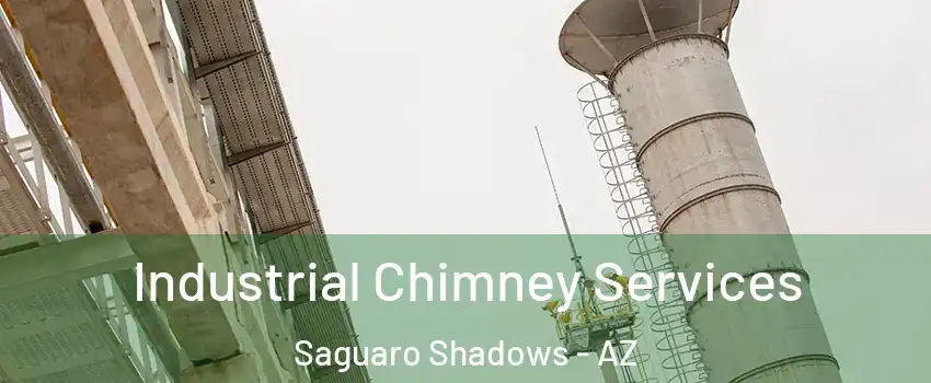 Industrial Chimney Services Saguaro Shadows - AZ