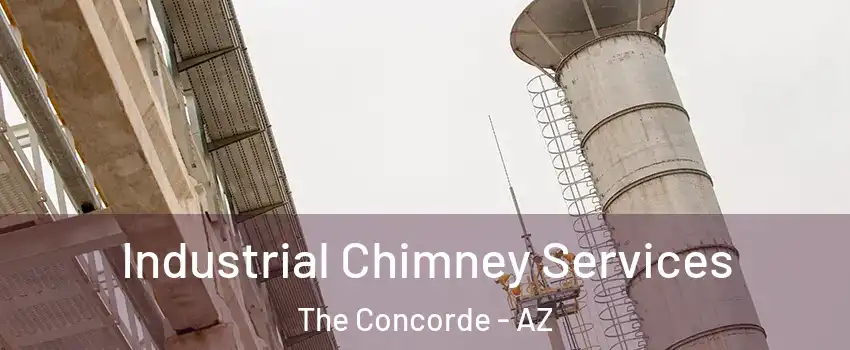 Industrial Chimney Services The Concorde - AZ