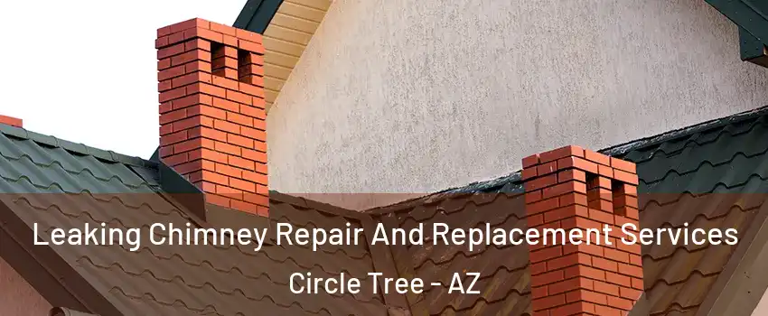 Leaking Chimney Repair And Replacement Services Circle Tree - AZ