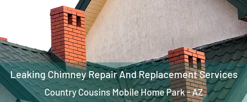 Leaking Chimney Repair And Replacement Services Country Cousins Mobile Home Park - AZ