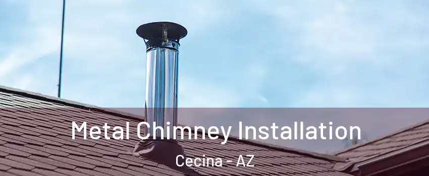 Metal Chimney Installation Cecina - AZ