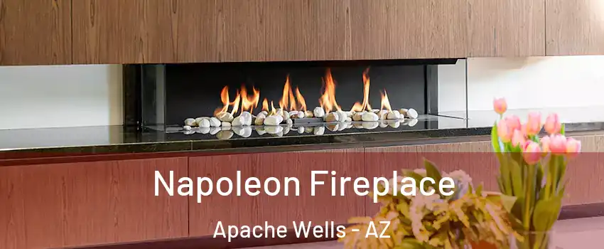 Napoleon Fireplace Apache Wells - AZ