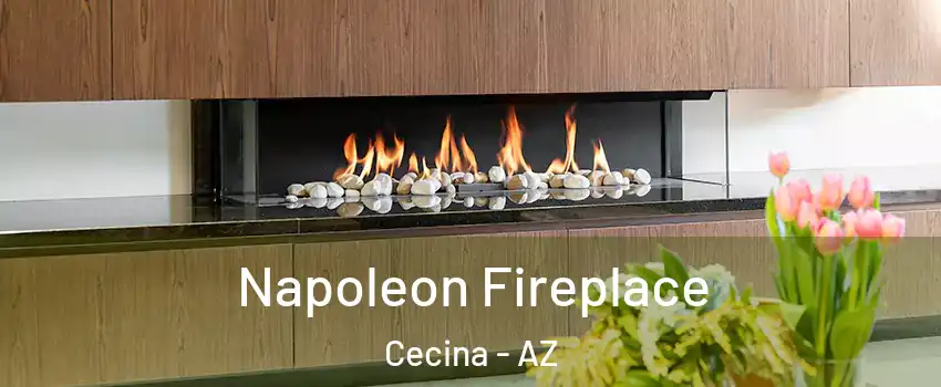 Napoleon Fireplace Cecina - AZ