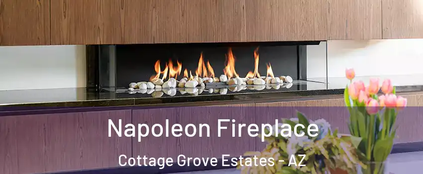 Napoleon Fireplace Cottage Grove Estates - AZ