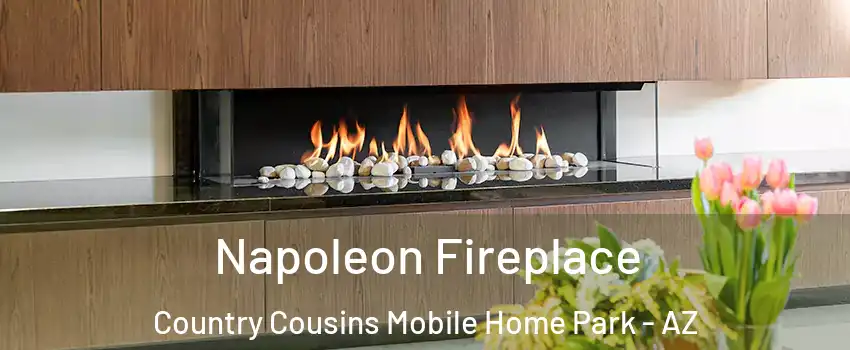 Napoleon Fireplace Country Cousins Mobile Home Park - AZ