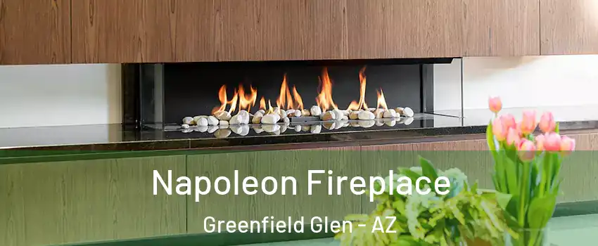 Napoleon Fireplace Greenfield Glen - AZ