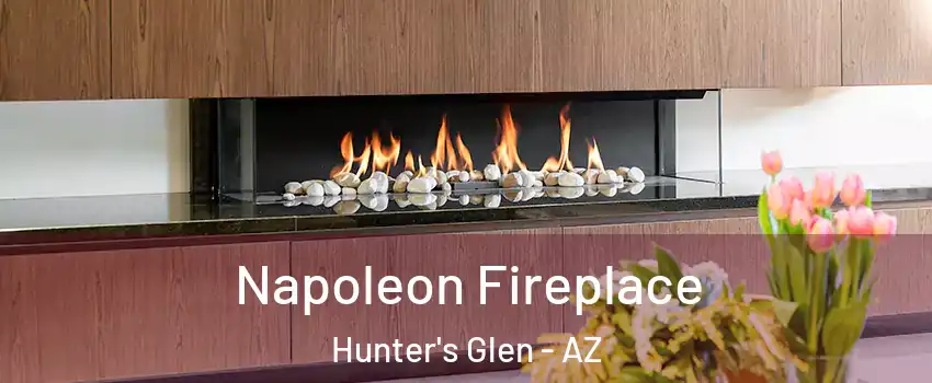 Napoleon Fireplace Hunter's Glen - AZ