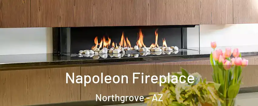 Napoleon Fireplace Northgrove - AZ