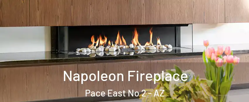 Napoleon Fireplace Pace East No 2 - AZ